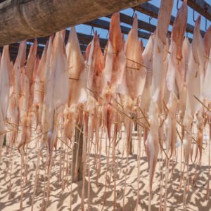 Mực một nắng Vũng Tàu +% Khuyến mại